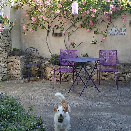 Pause Couleur Lavandula