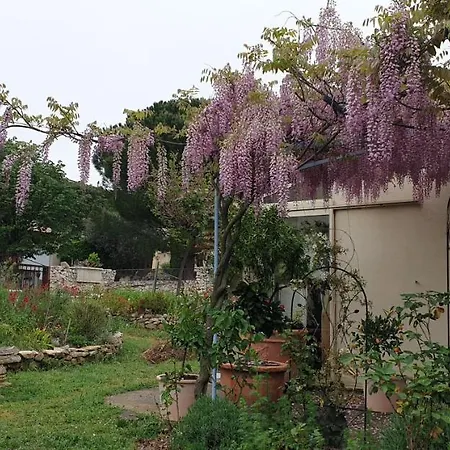 Apartment Pause Couleur Lavandula *