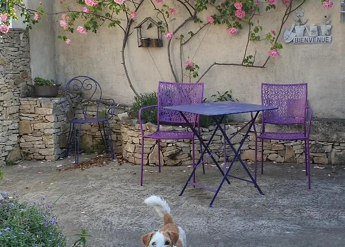 Pause Couleur Lavandula
