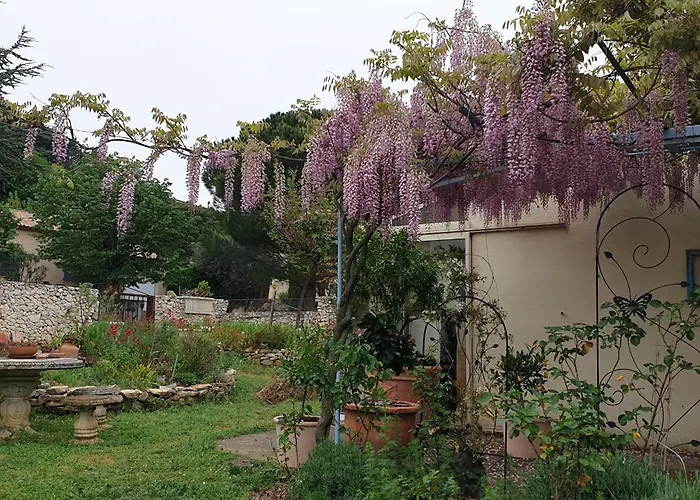Pause Couleur Lavandula